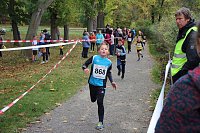Bild: 26. Stadtparklauf Sondershausen und...