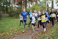 Bild: 26. Stadtparklauf Sondershausen und...