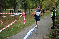 Bild: 26. Stadtparklauf Sondershausen und...