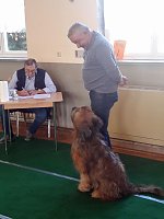 Bild: &Uuml;ber 90 Hunde bewarben sich auf Ausstellung in Trebra um Pokale
