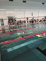 Bild: Kreisjugendspiele im Schwimmen durchgef&uuml;hrt