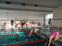 Bild: Kreisjugendspiele im Schwimmen durchgef&uuml;hrt