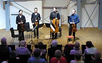 Spielfreude und Temperament Bild: Spielfreude und Temperament