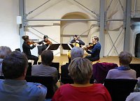 Spielfreude und Temperament Bild: Spielfreude und Temperament