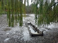 Bild: Blutspendetermine, Parkteich und Lampionumzug