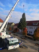 Bild: Weihnachtsmeldungen Bad Frankenhausen aktuell