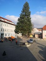 Bild: Weihnachtsmeldungen Bad Frankenhausen aktuell