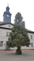 Bild: Weihnachtsmeldungen Bad Frankenhausen aktuell