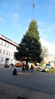 Bild: Weihnachtsmeldungen Bad Frankenhausen aktuell