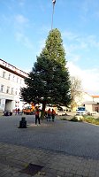 Bild: Weihnachtsmeldungen Bad Frankenhausen aktuell