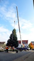 Bild: Weihnachtsmeldungen Bad Frankenhausen aktuell