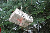 Bild: Weihnachtsbaum geschm&uuml;ckt