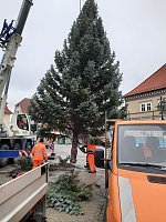 Weihnachtsbaum-SDH Bild: Weihnachtsbaum-SDH
