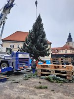 Weihnachtsbaum-SDH Bild: Weihnachtsbaum-SDH