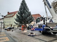 Weihnachtsbaum-SDH Bild: Weihnachtsbaum-SDH
