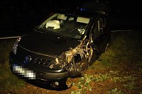 Bild: Rentnerin mit Auto gegen Baum geprallt