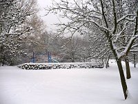 Bild: Winter im Borntal