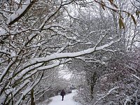 Bild: Winter im Borntal