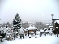 Bild: Winter im Borntal