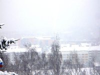 Bild: Winter im Borntal