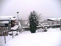 Bild: Winter im Borntal