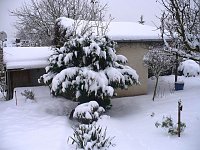 Bild: Winter im Borntal
