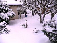 Bild: Winter im Borntal