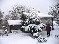 Bild: Winter im Borntal