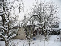 Bild: Winter im Borntal
