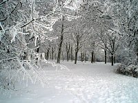 Bild: Winter in Artern