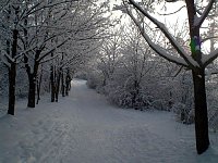 Bild: Winter in Artern
