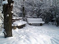Bild: Winter in Artern