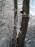 Bild: Winter in Artern