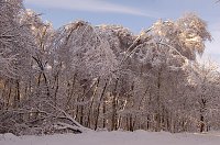 Bild: Schnee- und Eislast