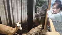 Museumsbesuch mit Sonderausstellung Spieluhren und Schneekugeln Bild: Museumsbesuch mit Sonderausstellung Spieluhren und Schneekugeln