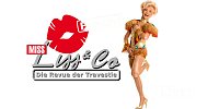 Revue der Travestie im STOCKSEN Bild: Revue der Travestie im STOCKSEN