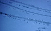 Bild: Schneeverwehungen