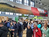 Grüne Woche Bild: Grüne Woche
