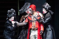 Die Zauberflöte Bild: Die Zauberflöte