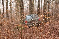 Bild: auto im Wald