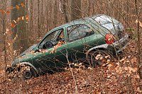 Bild: auto im Wald