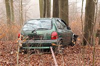 Bild: auto im Wald