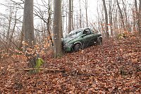 Bild: auto im Wald