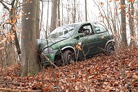 Bild: auto im Wald