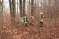 Bild: auto im Wald