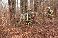 Bild: auto im Wald