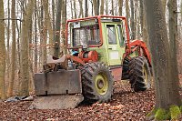 Bild: auto im Wald