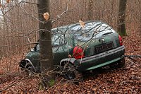 Bild: auto im Wald