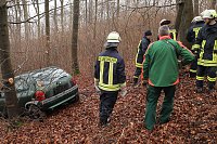 Bild: auto im Wald
