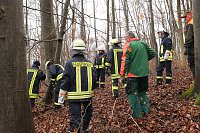 Bild: auto im Wald